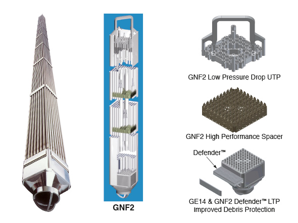 Fuel Assembly