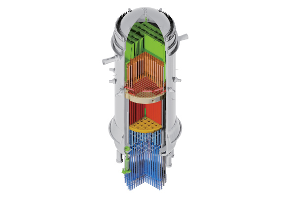 Reactor Pressure Vessel